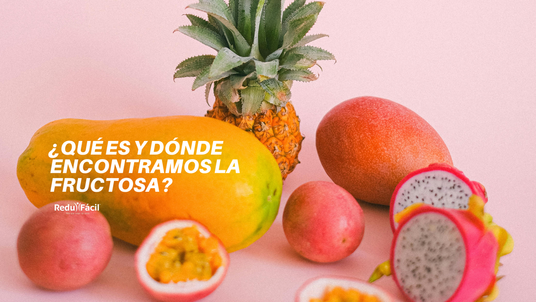 ¿Qué es y dónde encontramos la fructosa?